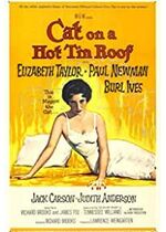 Cat on a Hot Tin Roof