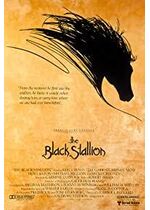 The Black Stallion