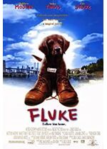 Fluke