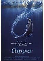 Flipper