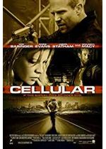 Cellular