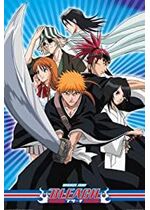 Bleach