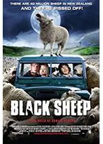 Black Sheep