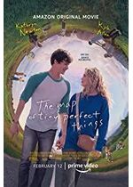 The Map of Tiny Perfect Things