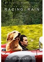 The Art of Racing in the Rain