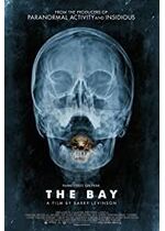 The Bay