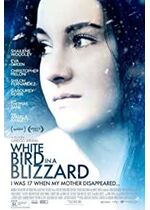 White Bird in a Blizzard