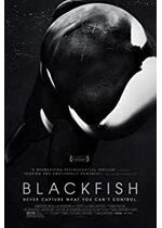 Blackfish