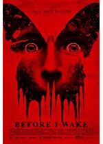 Before I Wake