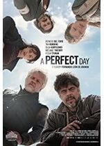 A Perfect Day