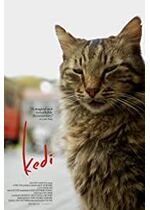 Kedi