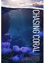 Chasing Coral