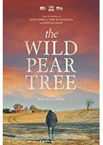 The Wild Pear Tree