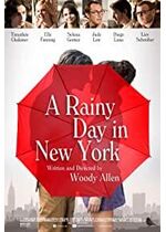 A Rainy Day in New York
