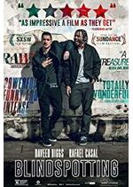 Blindspotting