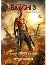 Baaghi 3