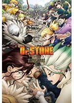 Dr. Stone