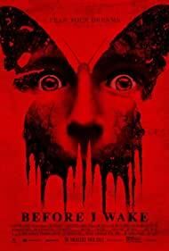 Before I Wake
