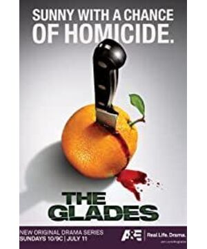 The Glades