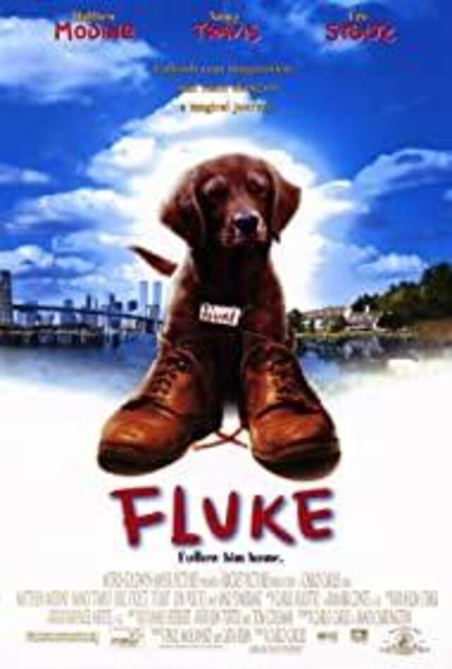 Fluke