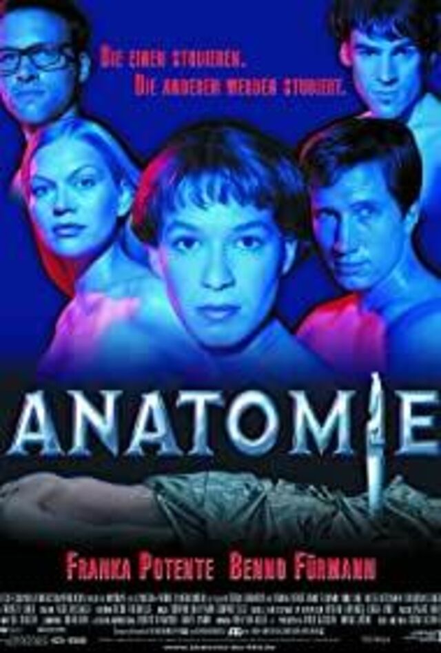 Anatomy