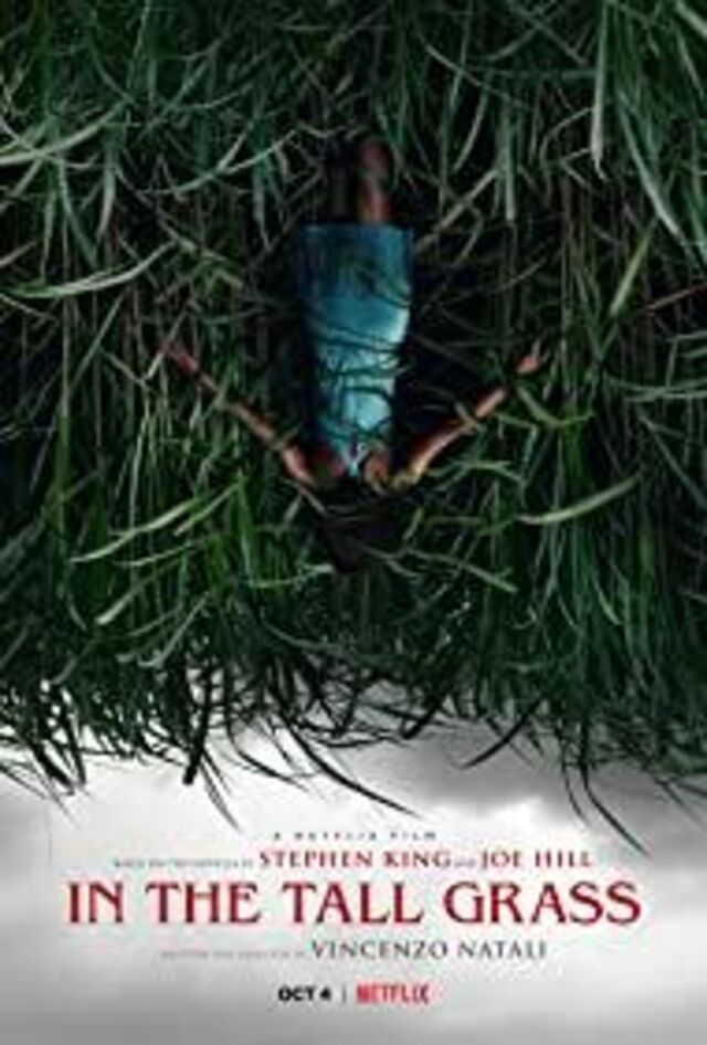 In the Tall Grass